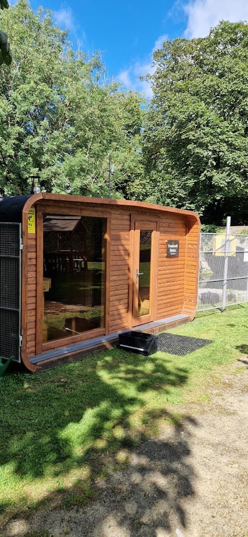 Wooden sauna structure with glass front on grass by trees.