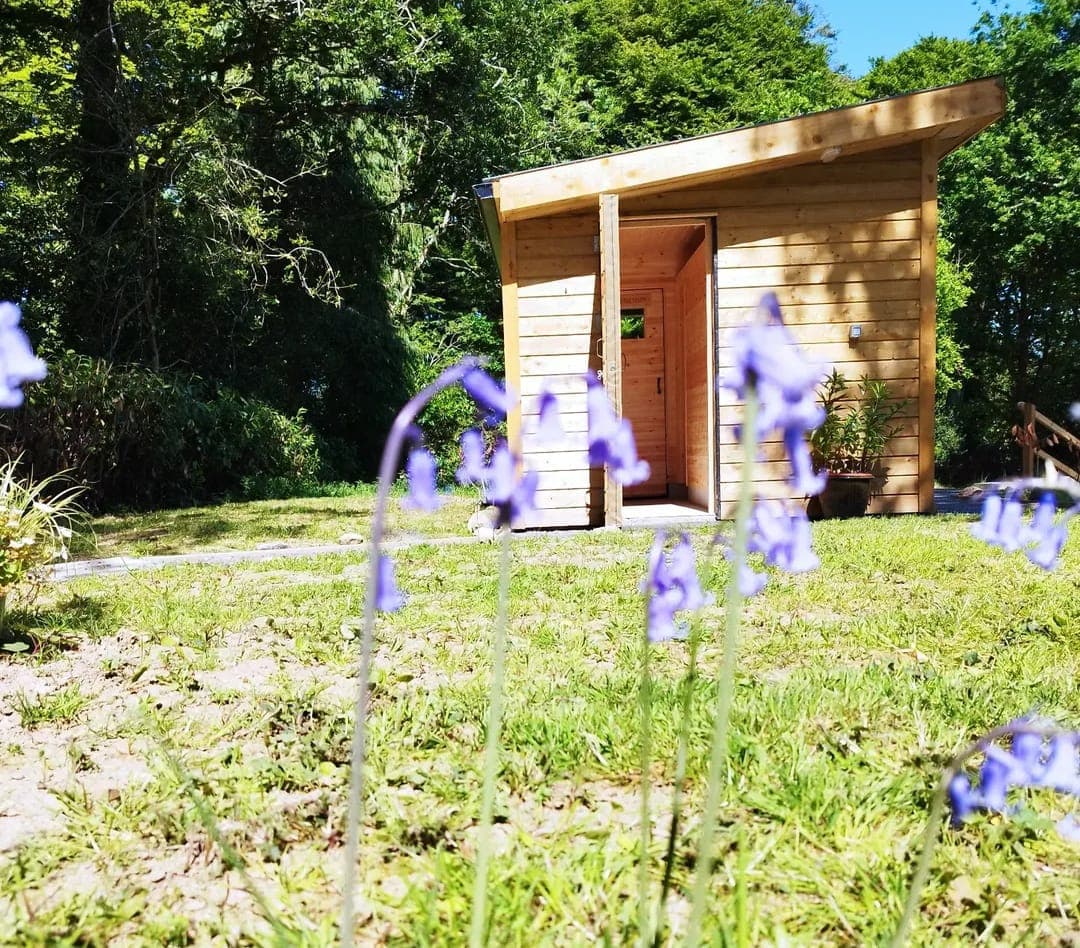 A wooden sauna cabin stands in a grassy clearing surrounded by lush green trees, with purple bluebells in the foreground.