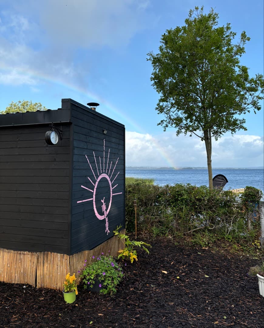 A black sauna building decorated with a pink circle symbol stands by a lake and tree.