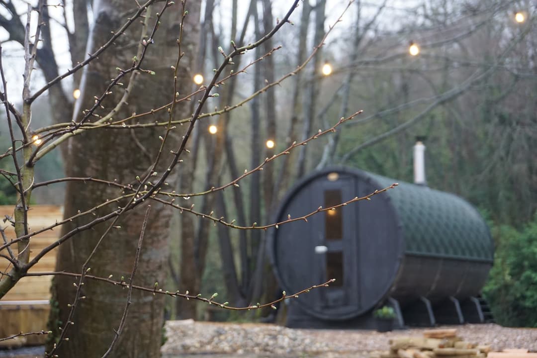 A dark barrel-shaped sauna is partially obscured by bare branches in a woodland setting.