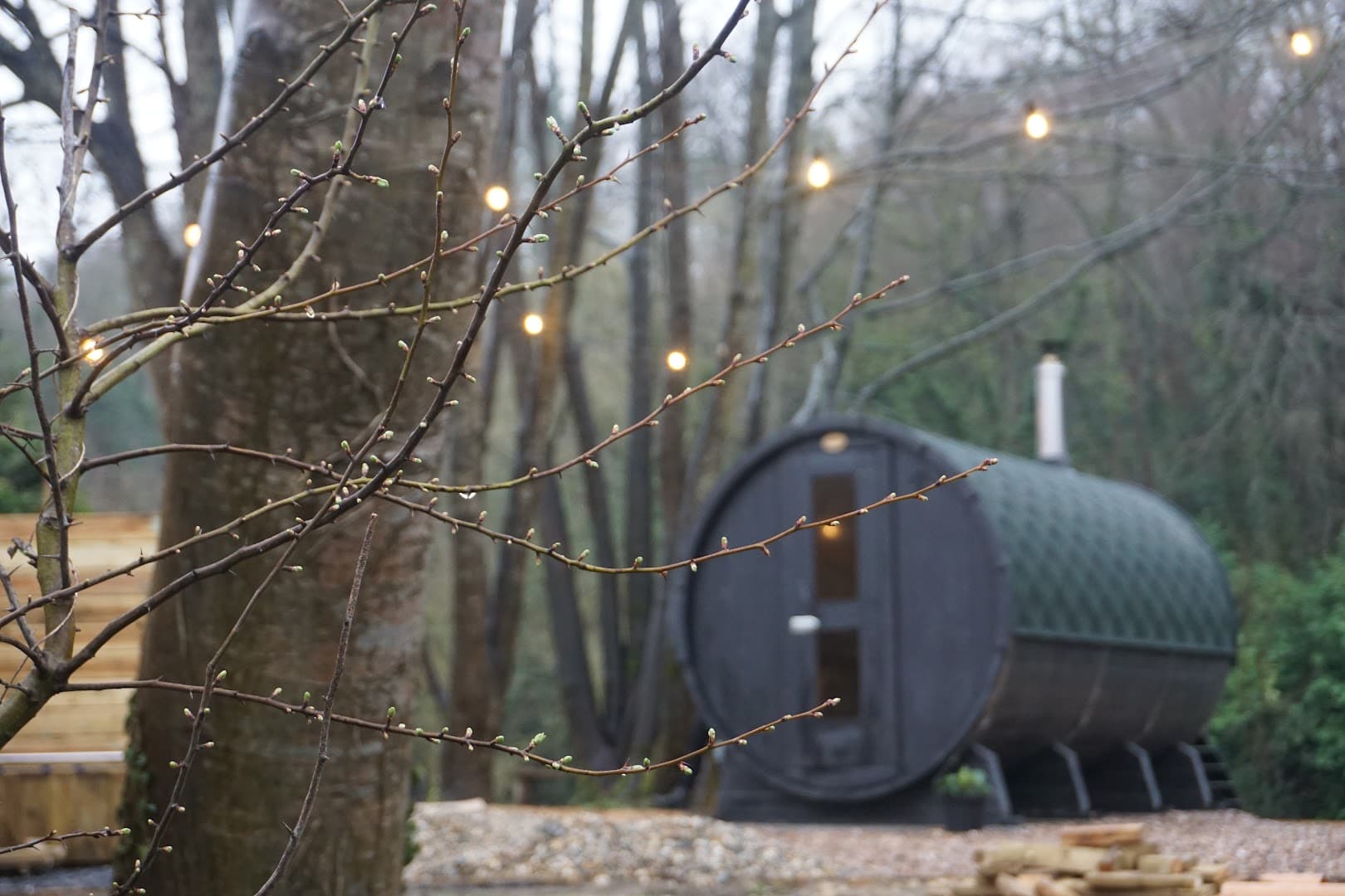 A dark barrel-shaped sauna is partially obscured by bare branches in a woodland setting.