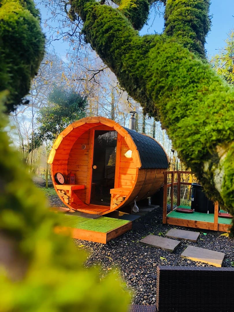 A wooden barrel-shaped sauna stands in an outdoor area surrounded by mossy trees and gravel.
