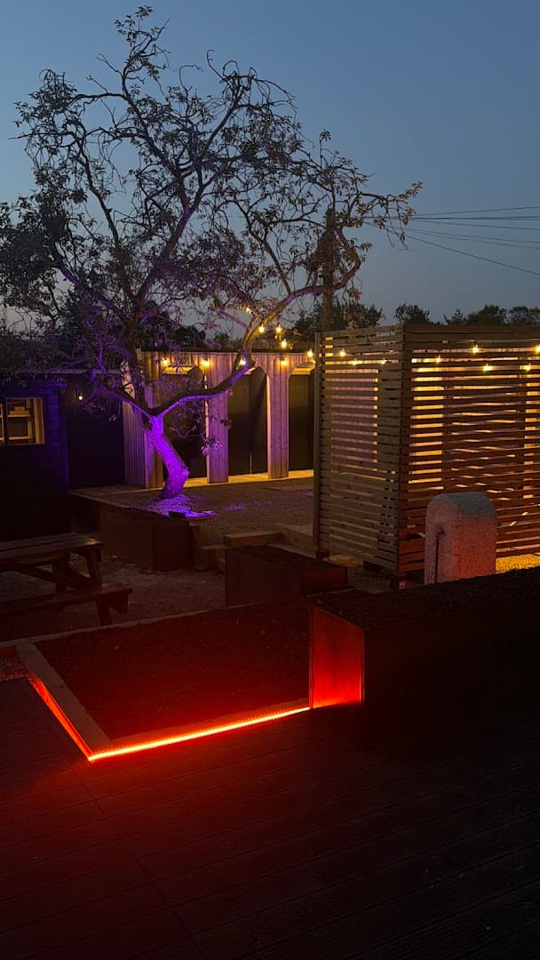 Wooden sauna structures lit by string lights and red LEDs stand outside at dusk near a twisted tree.