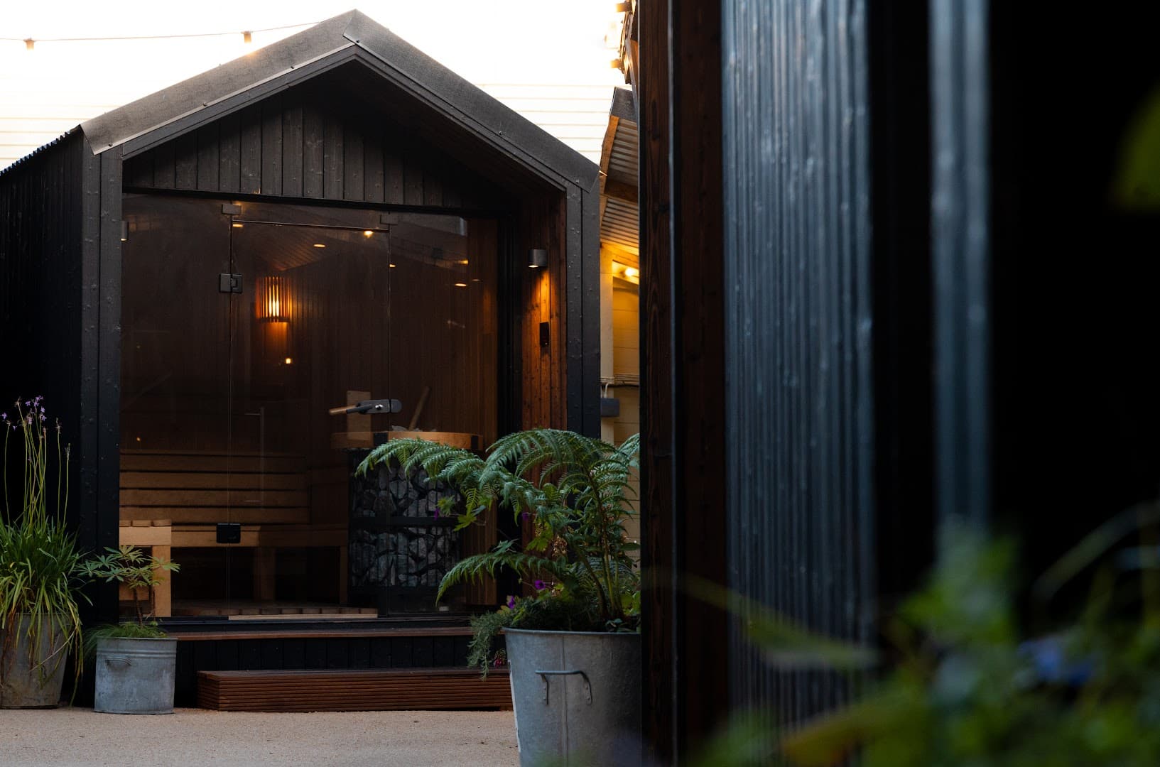 A dark wooden sauna with a glass door stands in an outdoor courtyard with potted plants.