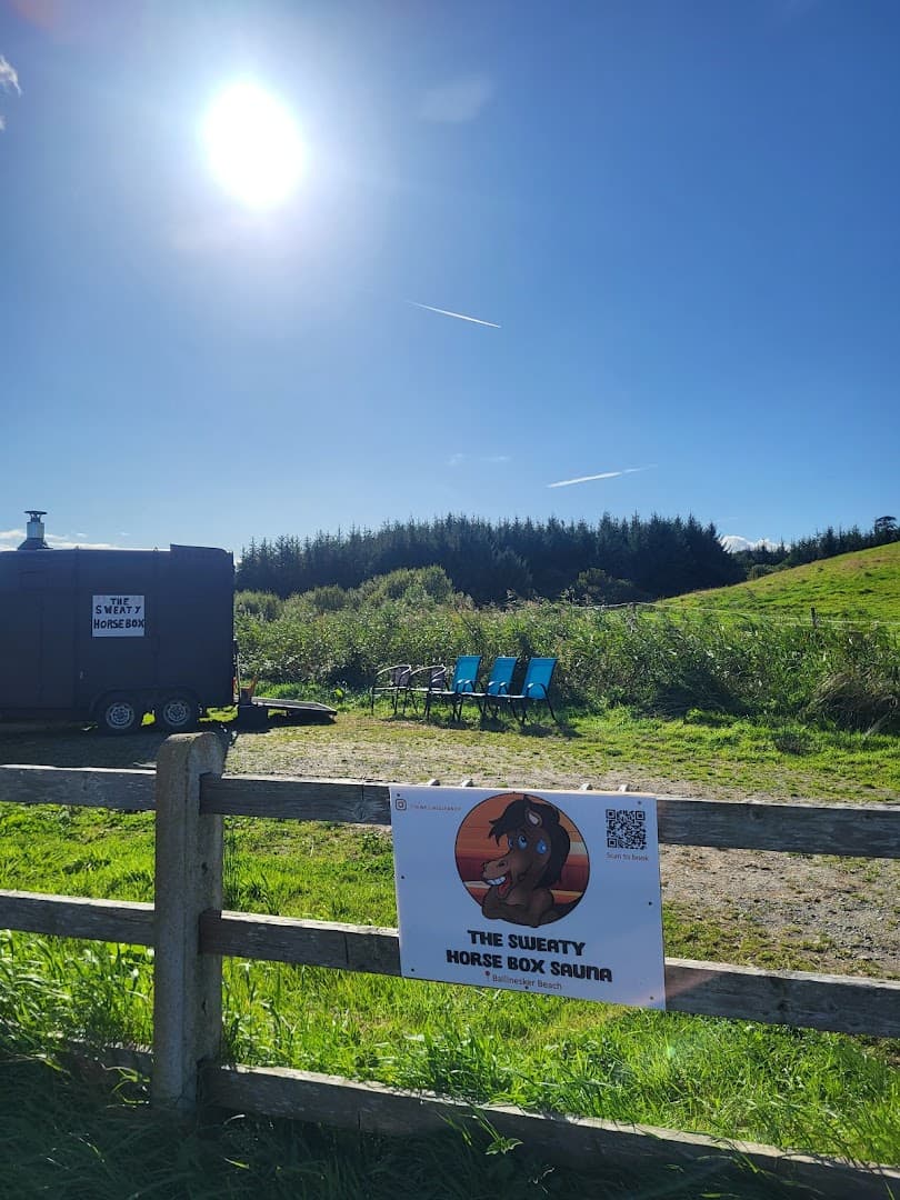 The Sweaty Horse Box Sauna in Curracloe sits in a grassy rural landscape under a bright, sunny sky.