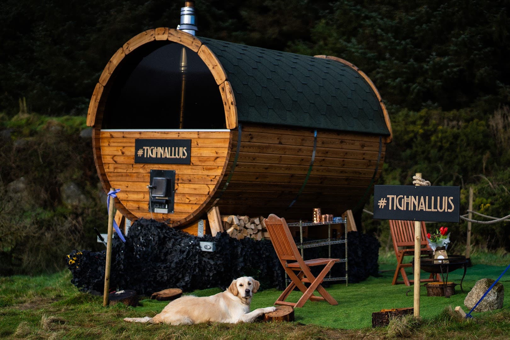 A wooden barrel sauna sits outdoors in a grassy area with a dog lying in the foreground.